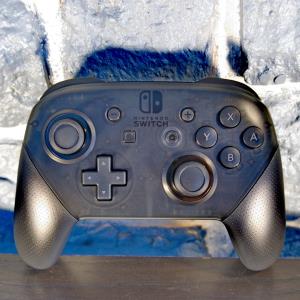 Nintendo Switch Pro Controller (07)